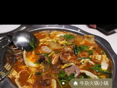 -古乐牛香·鲜牛肉牛杂火锅(新区店)
