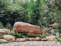 -广州市流溪河国家森林公园