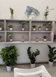 -P.STYLE 派斯造型