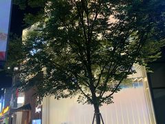 -南风(淮海街店)