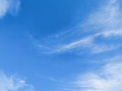 -乐凯撒披萨(东方新世界店)