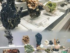 -湖南省地质博物馆