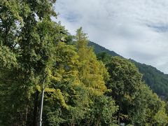 -杭州城北体育公园