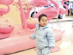 -摩天活力城·摩天轮