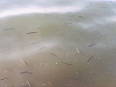 -苏堤停车场