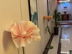 -华夏良子·足道SPA艾灸(开源店)