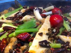 -老板恋上鱼(恒隆广场店)