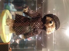 泰迪熊博物馆-济州岛泰迪熊博物馆