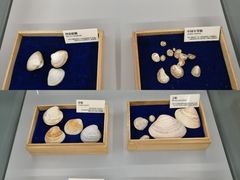 -天津古林古海岸遗迹博物馆