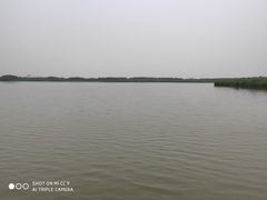 -西青郊野公园