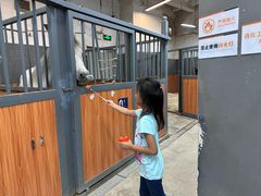 -骑乐马术(广州奥体优托邦中心)
