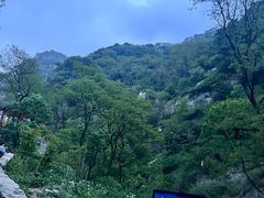 -泰山风景名胜区