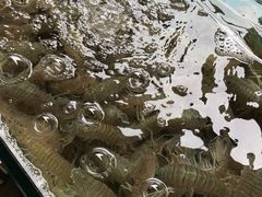 -四川人郑霞海鲜