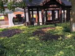 -白马涧龙池景区