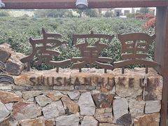 -树山生态村