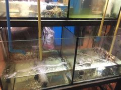 -BAI BUA RESTAURANT