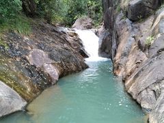 -广州白江湖森林公园