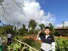 -海南热带野生动植物园