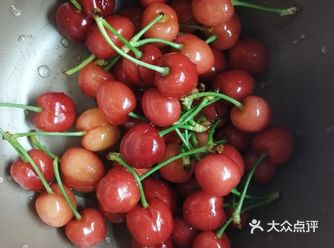 白鹿原的樱桃园可以摘樱桃呀，这个周末和大家部队一块去
