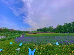 -天府芙蓉园