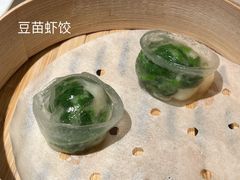 鲜虾豆苗饺-利苑酒家(华熙国际店)