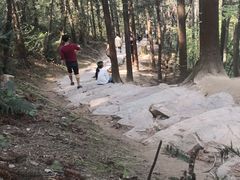 -冶父山国家森林公园