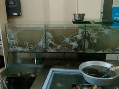 -东海章鱼馆(恒瑞街店)