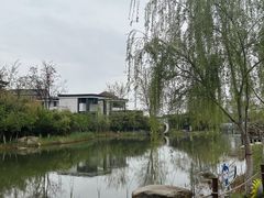 -茯茶镇