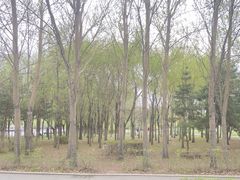 -长春公园(普阳街道)