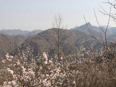 -龙泉峪长城