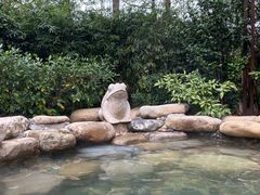 -天目湖涵田半山温泉