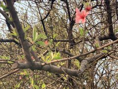 -上海市第一师范学校附属小学