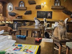 -猫猫幼稚园·撸猫·桌游·电玩