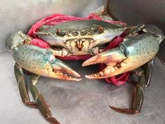 -J Daeng Seafood