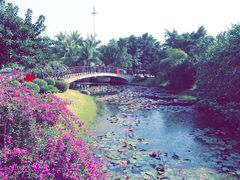 -白沙门生态公园