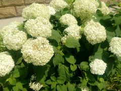 -意大利农场度假村