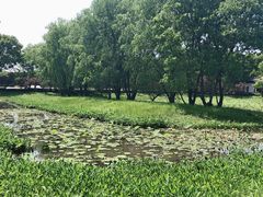 -西溪国家湿地公园