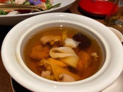 藏区羊肚菌花胶炖走地鸡汤-觅唐MITONG(鸟巢店)