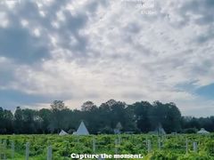 -安德鲁户外烧烤帐篷营地(马泉营店)