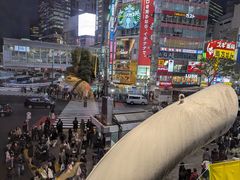 -涩谷全向十字路口