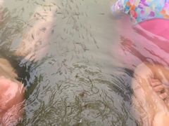 -三江森林温泉度假区