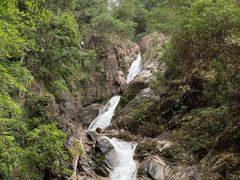 -九龙江国家森林公园