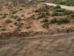 android_upload_pic-石家庄市动物园