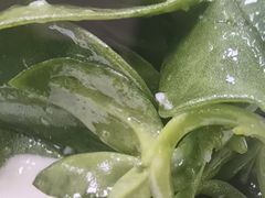 -尚宴(盛世广场·食尚街店)