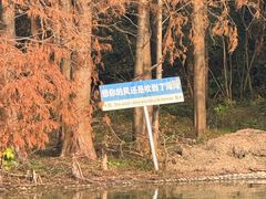 -上海海湾国家森林公园