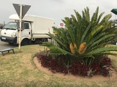 -奥利弗·雷金纳德·坦博国际机场