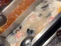 -五星桥原切肥牛火锅·30年专注好牛肉(湖塘店)