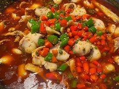 -成都娃娃花园餐厅 (南艺旗舰店)