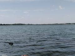 -丁香湖公园