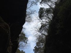 -黑河国家森林公园